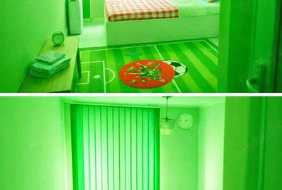 Garsonieră nedecomandată în Mureșeni - 3