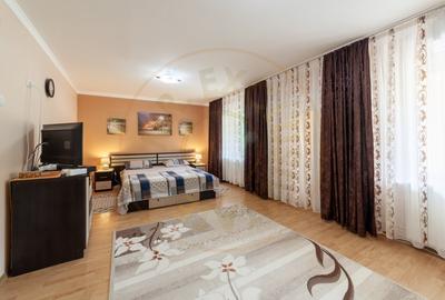 Casa spatioasa P+1E Budeasa -Valea Marului Arges - 4