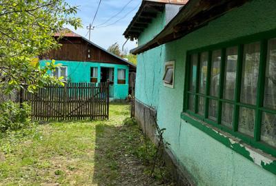 Casă cu 4 camere în Plopu