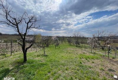 Casă cu 2 camere în Săldăbagiu de Munte - 10
