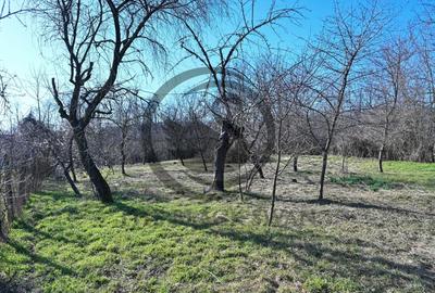 Casă individuală cu 3 camere cu Canalizare în Filipeștii de Pădure - 24
