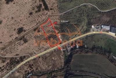 Teren intravilan de vanzare in Baciu 9.880/? - 3
