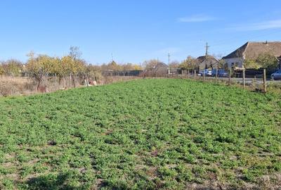 Casă individuală cu 3 camere cu Teren 1093 Mp în Central - 3
