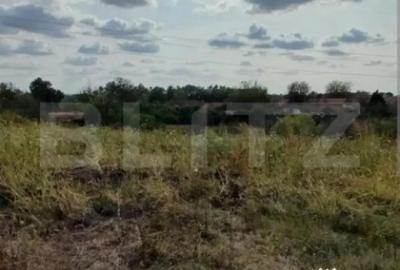 Teren de 6983 mp, în Lipovei