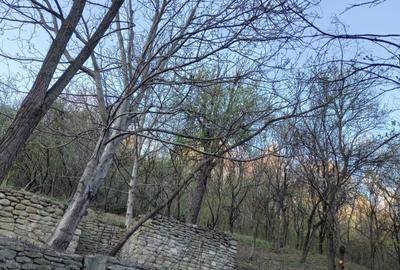 Spațiu comercial, în Central - 6