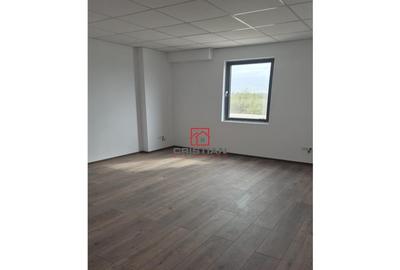 Depozit/hala/spatiu industrial Chiajna - Chitila - Rudeni - 9