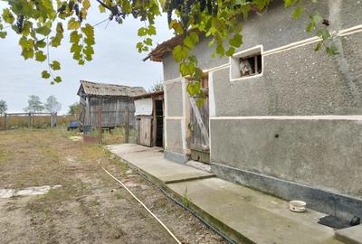 Vand casa in Miersig - 3