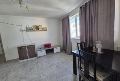 Apartament cu 2 camere nedecomandat în Banat - 4