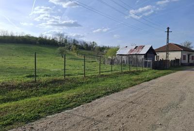 Spațiu comercial, în Povârgina - 1