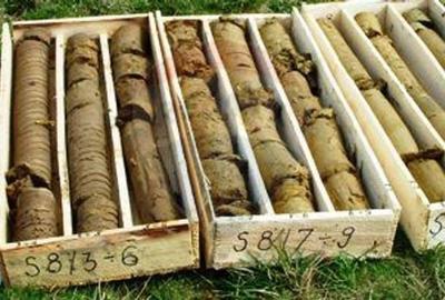 Teren extravilan, arabil de vanzare, in Dobolii de Jos,  22.3 hectare - 5