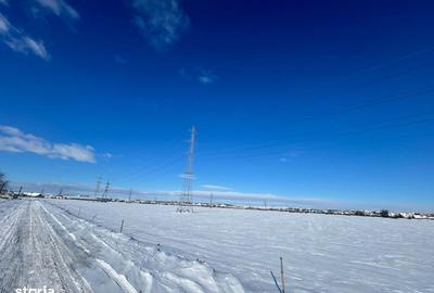 Spațiu comercial, în Viișoara - 7