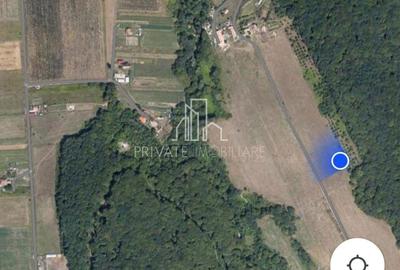 Teren extravilan 28.800 Mp , zona Rora, Sighisoara - 5