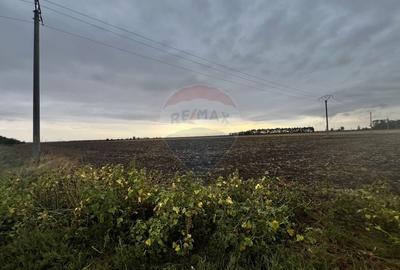 Teren agricol extravilan de 27882 mp, în Exterior Est - 10