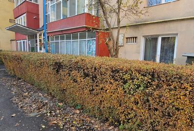 Vanzare 2 camere, Tractorul, zona 13 Decembrie - O. Goga - 7