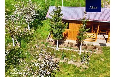 Teren agricol intravilan de 725 mp, în Alma - 6