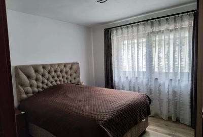 Casa individuala spatioasa, cu teren, Sura Mica - 11