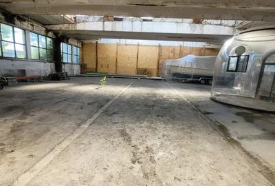 Spațiu comercial, de 558 mp, în Buzaului - 2
