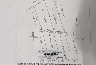 Teren de 4500 mp, în Valea Bistrei - 2