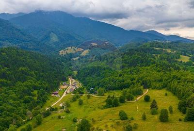 Teren Parcul National Bucegi/Str Glajarie Rau Mare/Panice... - 6