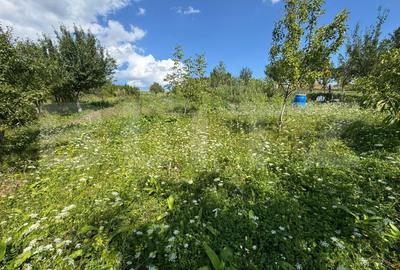 Casa de vanzare in Tarpiu, la doar 10 km de Bistrita - 11