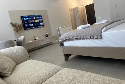 Garsonieră decomandată în Nord - 6