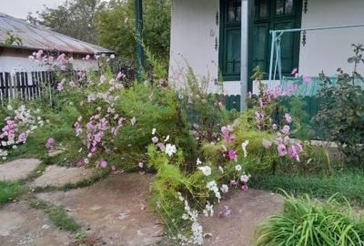 Casă individuală cu 2 camere cu Teren 1400 Mp în Ștefănești - 8