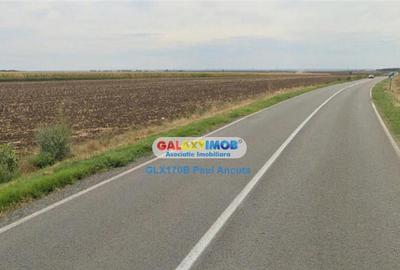 Teren Cuza Voda Calarasi 7 Ha extravilan vecin Canal Irigat - 4