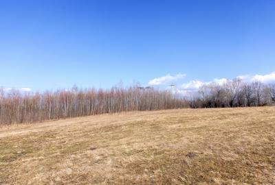 Teren Construcții intravilan de 5967 mp, în Bran - 6