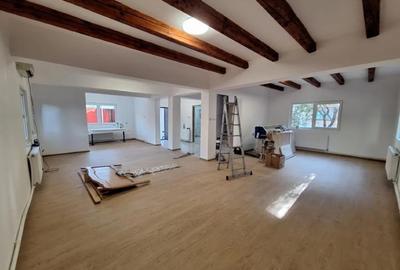 Vila 5 camere/spatiu depozitare + 2 bai de inchiriat Dobroiesti - 4