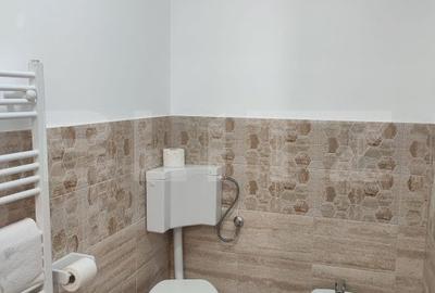 Spatiu central cu chiriasi, 87 mp, zona centrala - 2