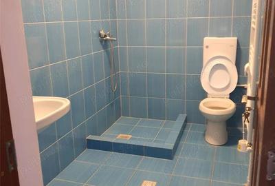 Casă cu 6 camere în Badea Cârțan - 11