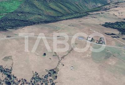 Teren 3750 mp deschidere 54 m de vanzare in Paltinis Sibiu - 2
