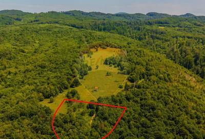 COMISION 0% Teren 6,572 mp/Cur?i construc?ii/ Intravilan - 7