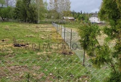 Teren Saru Dornei / Neagra Sarului - oportunitate investitie - 2