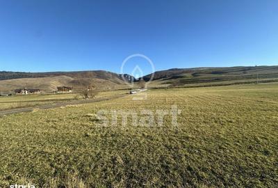 Spațiu comercial, în Petrești - 8