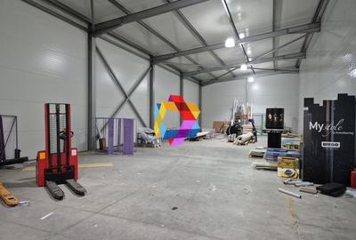Spațiu industrial, de 300 mp, în Astra - 3
