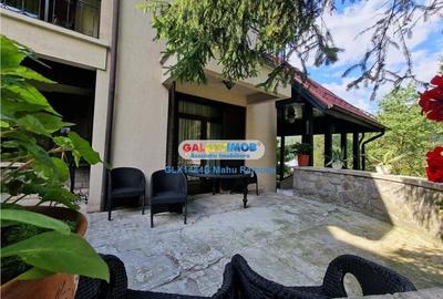 Vila superba, 9 dormitoare, pretabila pentru pensiune, Sinaia - 21