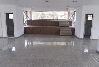 Spațiu comercial, de 200 mp, în Narcisa - 5