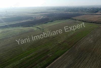 Teren de vanzare in comuna Cateasca, Jude? Arge?. - 1