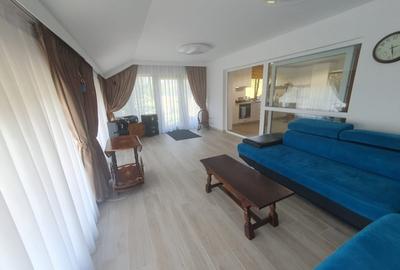 Casa  moderna mobilata cu beci 165mp +3000mp teren Cotnari - 7