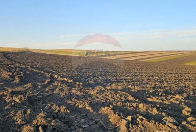 Teren de 30077 mp, în Stroiești - 3