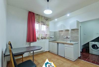 Apartament cu 1 camera, la vila, in Vlaicu - 2