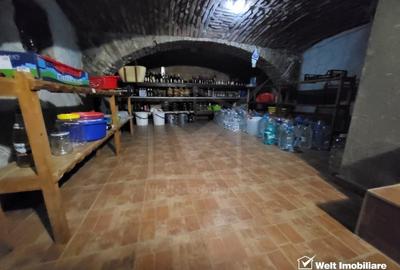 CASA REZIDENTIALA DE LUX + 5 SPATII COMERCIALE CU CHIRIASI - 13