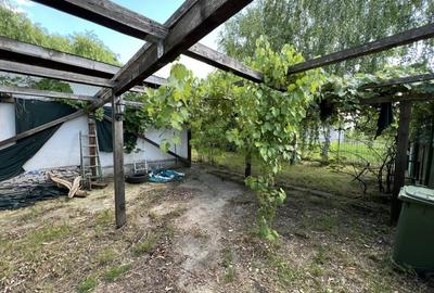 Casa-langa studiourile Buftea, 2 constructii, curte cu pomi, 2500mp, langa lac - 5