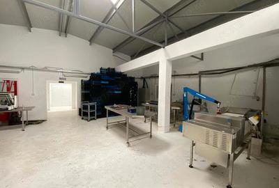 Hala de productie ciuperci de depozitare - Dezna - AR - 2