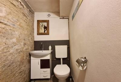 Casa deosebita \ vanzare \ Marginimea Sibiului \ Fantanele - 11