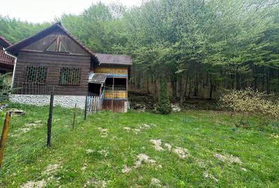 Casă individuală cu 5 camere cu Teren 900 Mp în Ighiel - 1