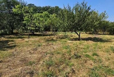 Casă cu 4 camere în Ghirdoveni - 2