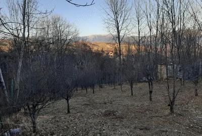 Teren de 873 mp, în Central - 8