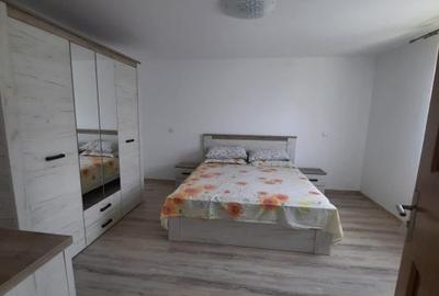 Vanzare Casa Noua Prahova Iordacheanu Varbila + Teren - 18